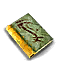 Zho's Journal.png