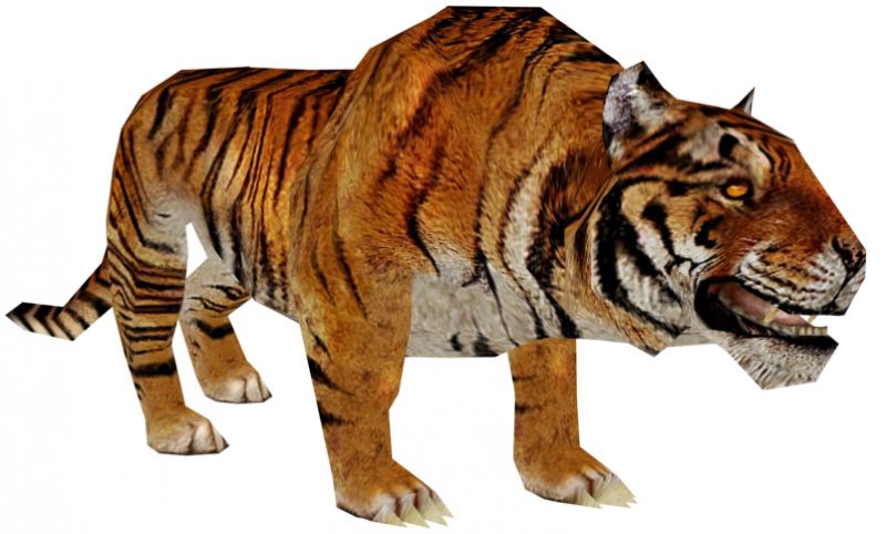 File:Tiger.jpg