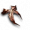 Chela di Mantide.png