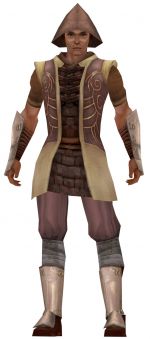 Canthan merchant in Tyria.jpg