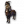 Zhed Zampaombra in Miniatura.png