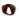 Gelatina Ricercata.png