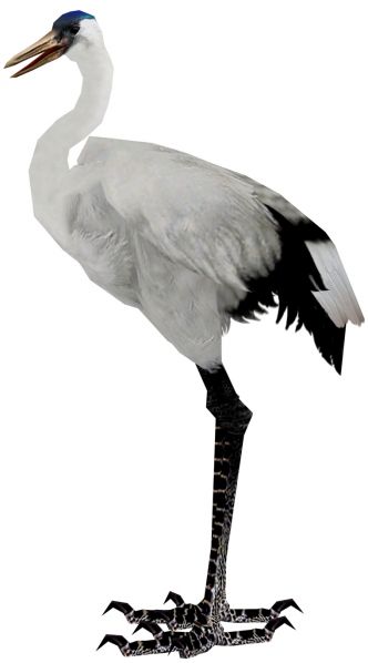 File:Crane.jpg