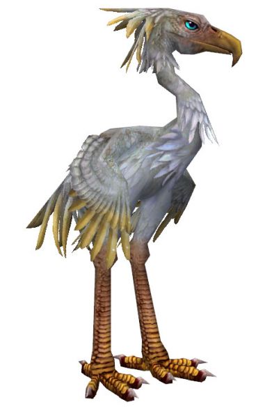 File:White Moa.jpg