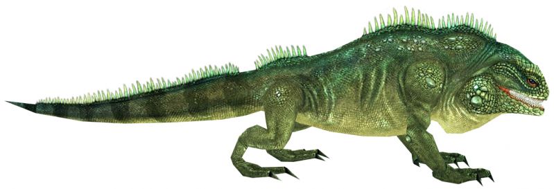 File:Iguana.jpg
