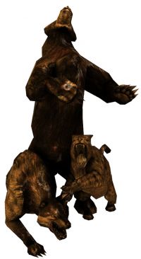 Mascotte