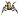 Moss Spider.jpg