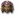 Facets of Lyssa f.png