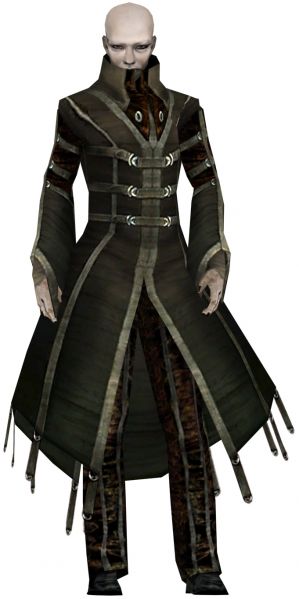 File:Kurzick elementalist.jpg