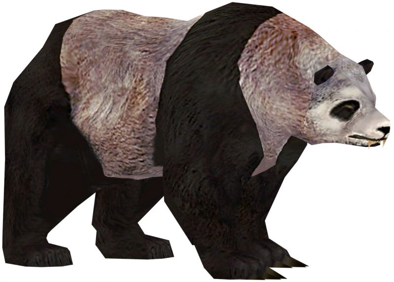 File:Panda.jpg