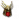 Wisdom of the Dragon f.png