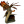 Neoso Krait in Miniatura.png