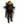 Re Folle Thorn in Miniatura.png