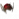 Dwayna's Diadem f.png
